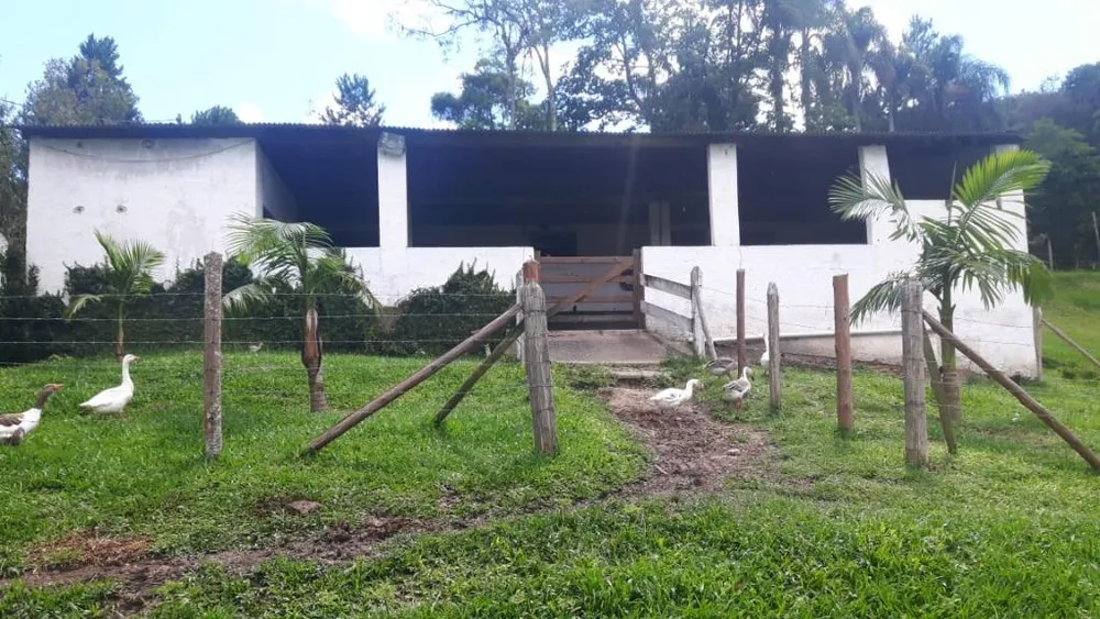 Sítio, 3 quartos, 17 hectares - Foto 13