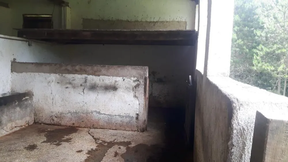 Sítio, 3 quartos, 17 hectares - Foto 7