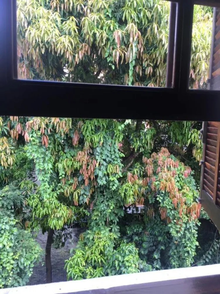 Sobrado, 3 quartos, 340 m² - Foto 16