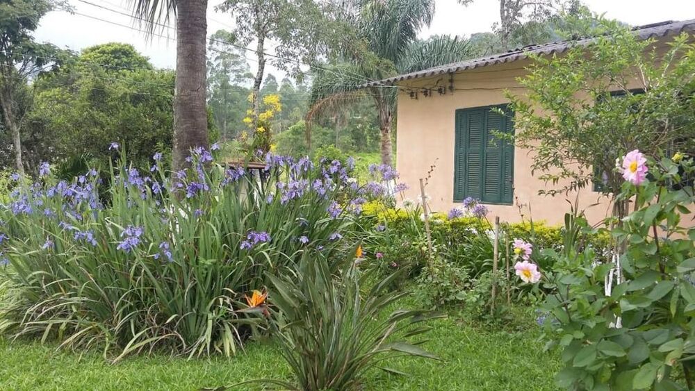 Sítio, 3 quartos - Foto 1