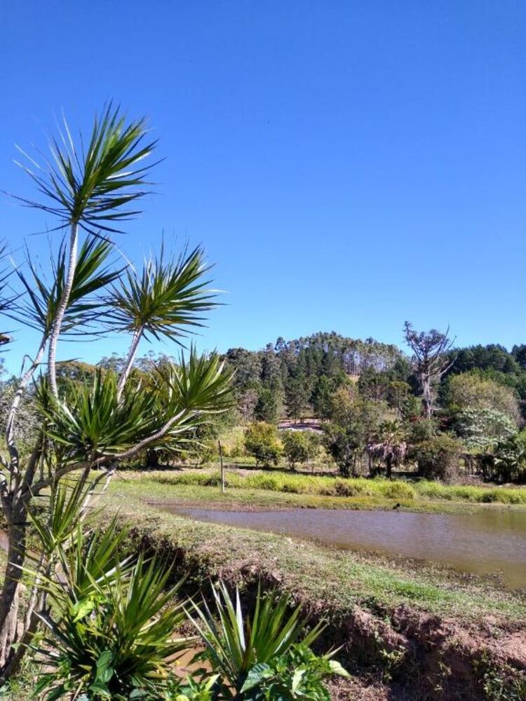 Sítio, 3 quartos - Foto 3