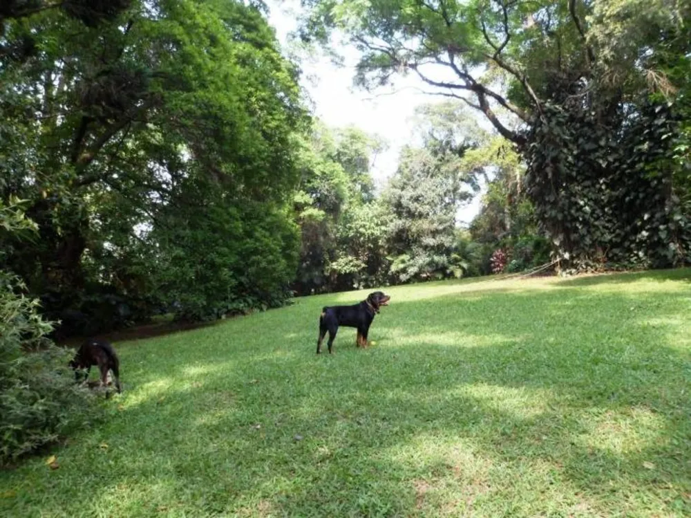 Casa, 4 quartos, 450 m² - Foto 22