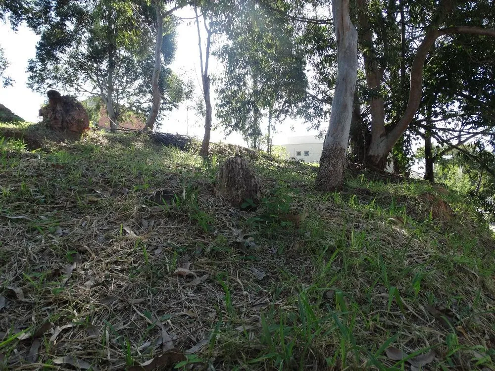 Loteamento e Condomínio, 494 m² - Foto 6