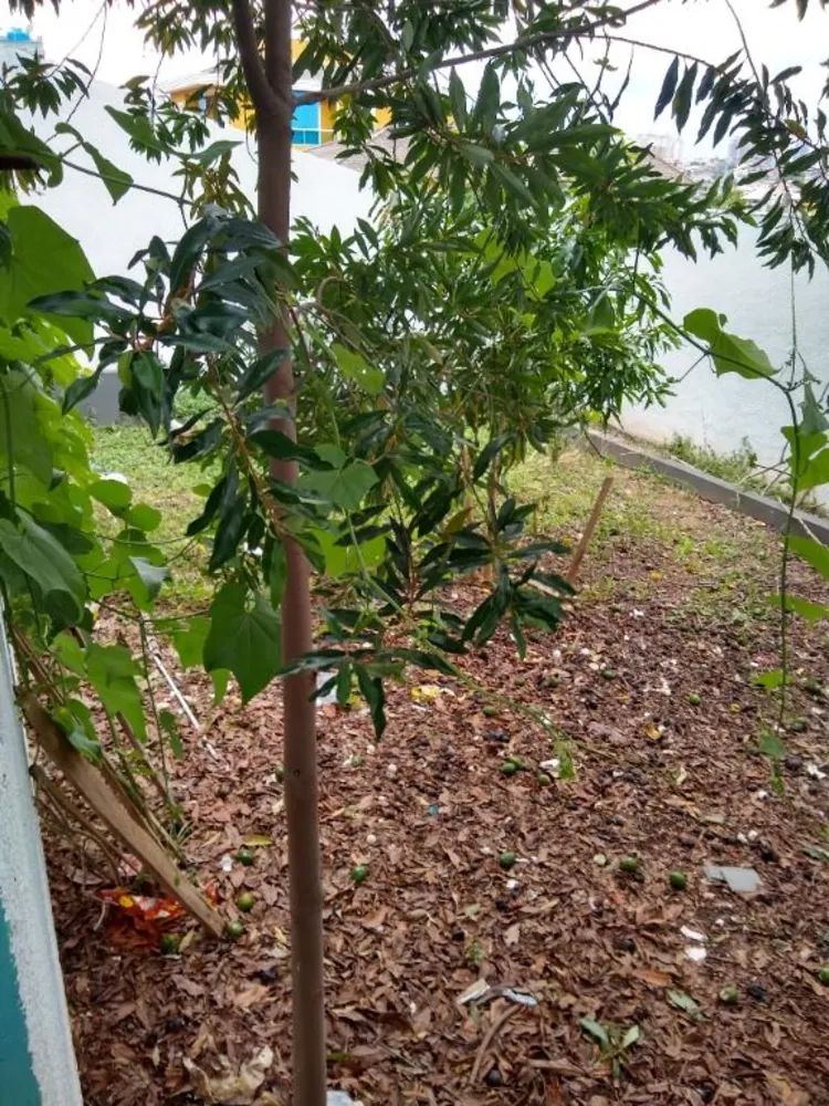 Sobrado, 5 quartos, 480 m² - Foto 7