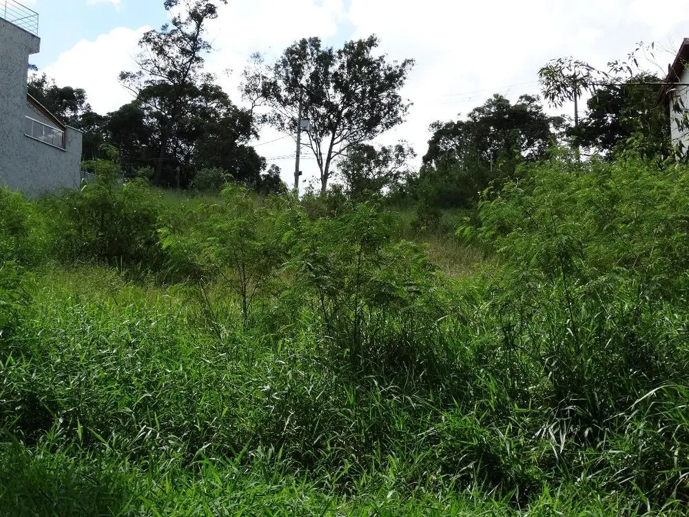 Terreno, 2000 m² - Foto 7