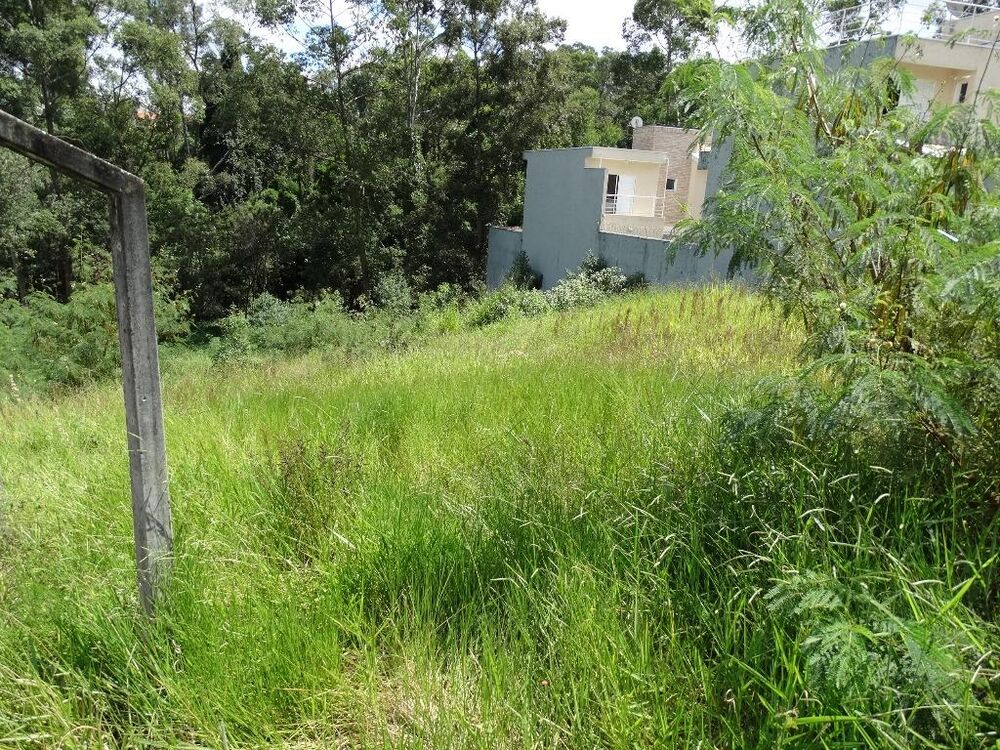 Terreno, 2000 m² - Foto 2