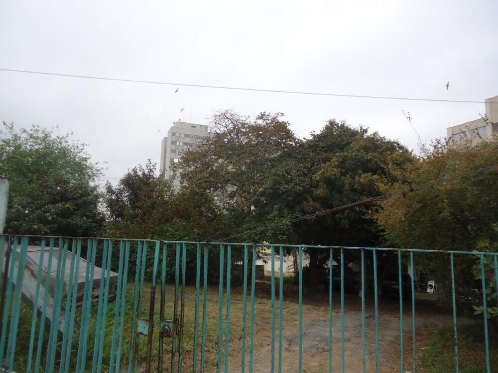 Terreno, 1300 m² - Foto 1