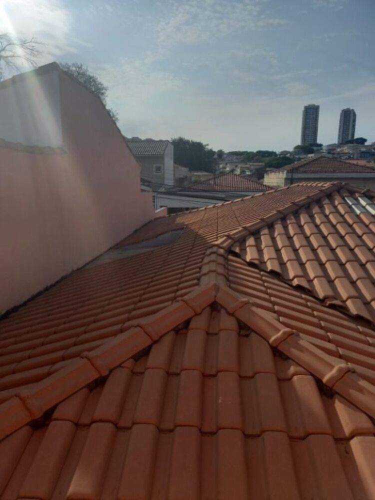 Casa, 4 quartos, 250 m² - Foto 21