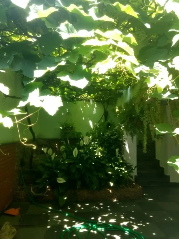 Sobrado, 6 quartos, 515 m² - Foto 32