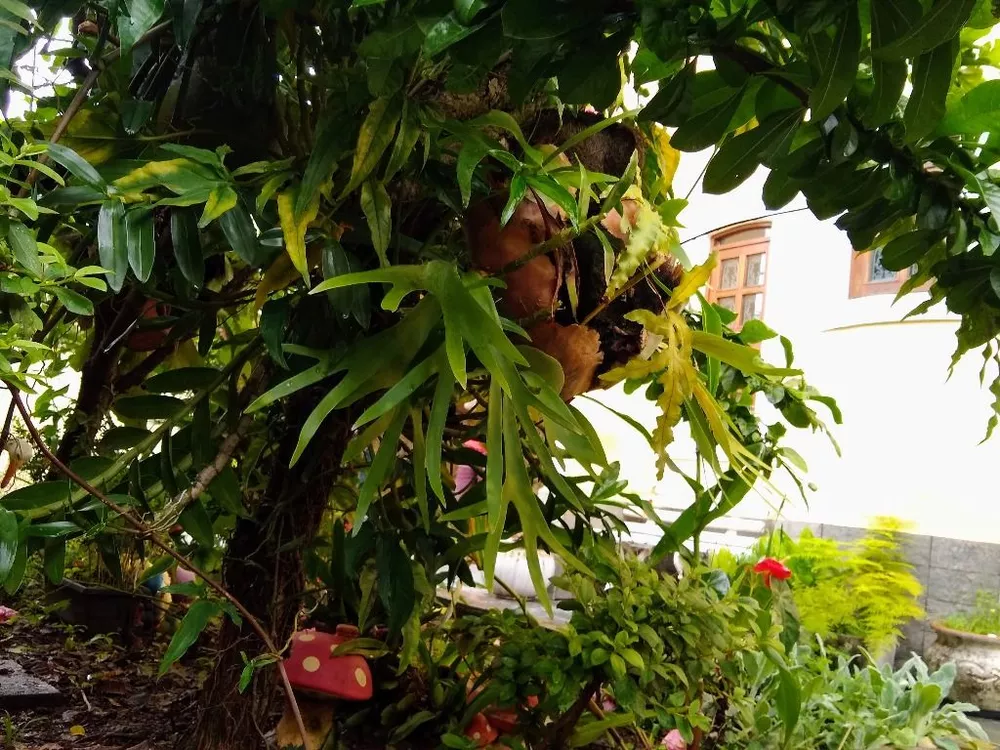 Sobrado, 3 quartos, 323 m² - Foto 13