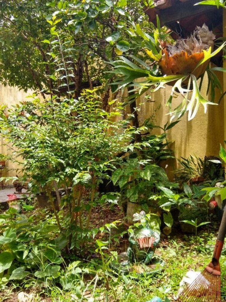 Sobrado, 3 quartos, 323 m² - Foto 16