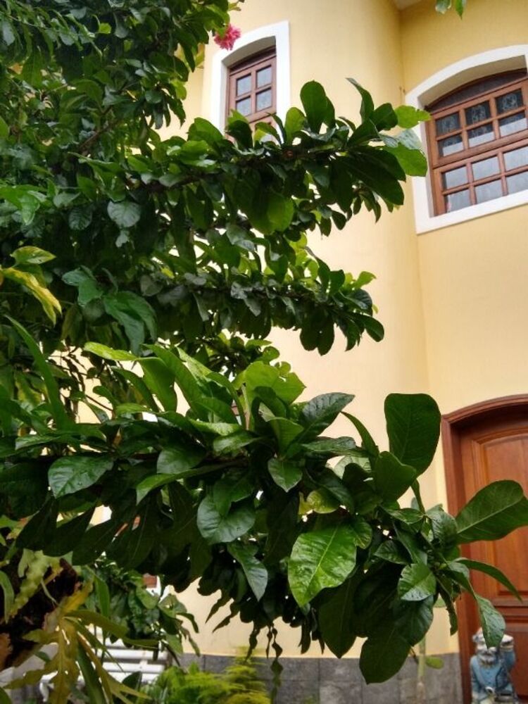 Sobrado, 3 quartos, 323 m² - Foto 15