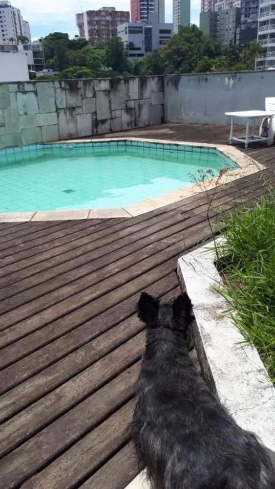 Cobertura, 4 quartos, 420 m² - Foto 11