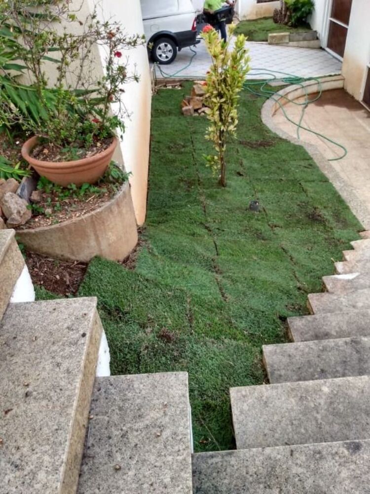 Sobrado, 4 quartos, 480 m² - Foto 19