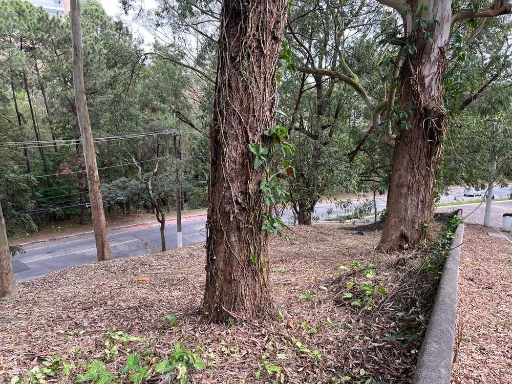 Terreno, 800 m² - Foto 8