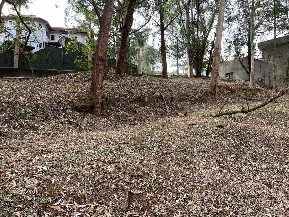 Terreno, 800 m² - Foto 6