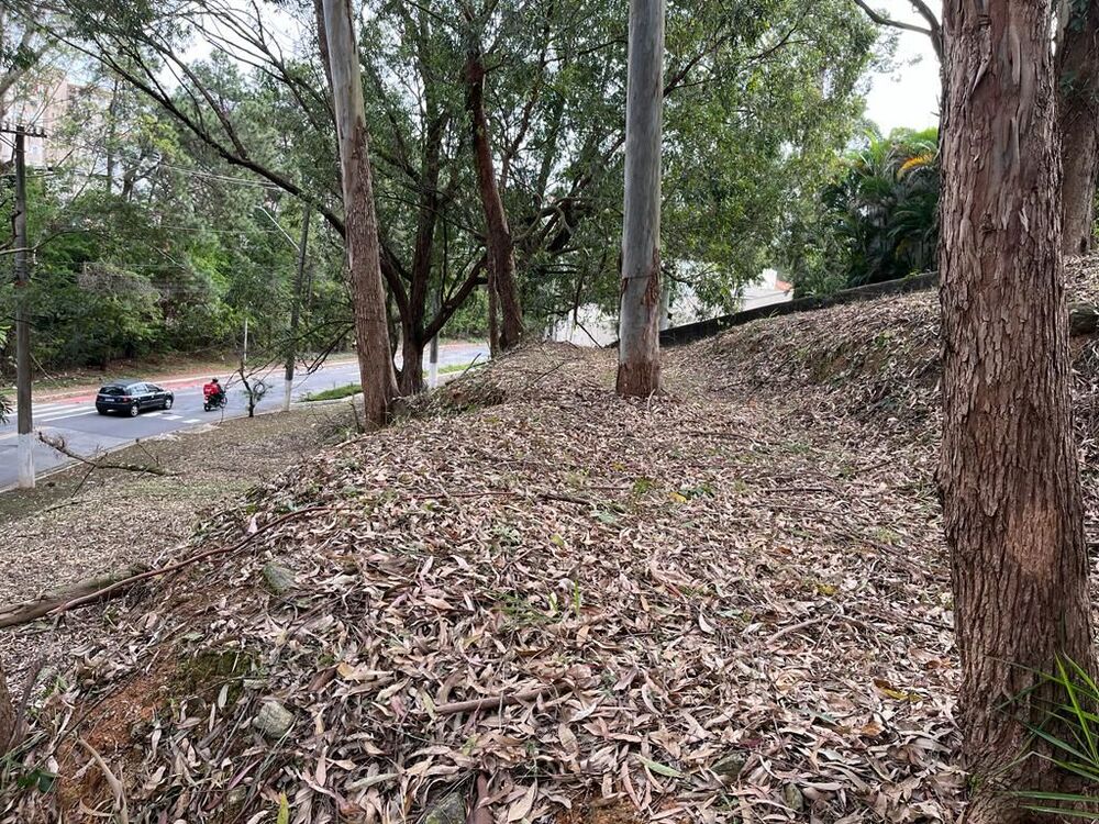 Terreno, 800 m² - Foto 3