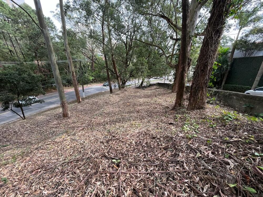 Terreno, 800 m² - Foto 2