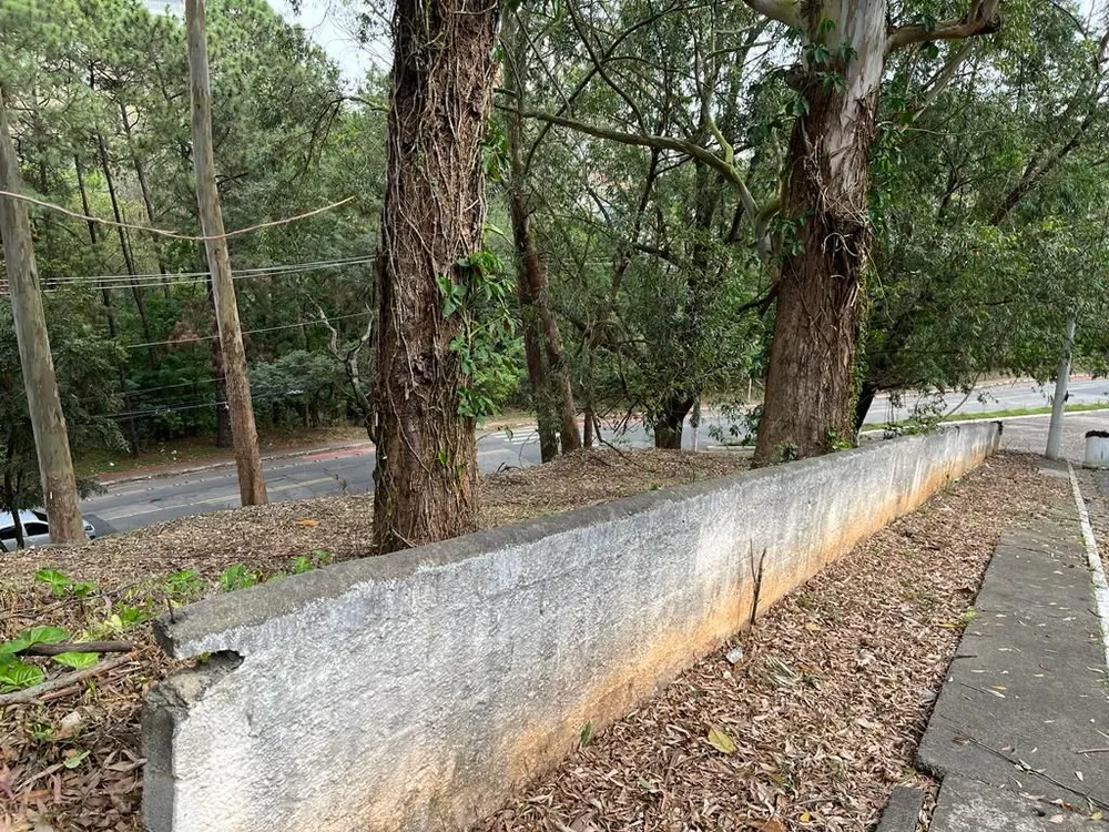 Terreno, 800 m² - Foto 9