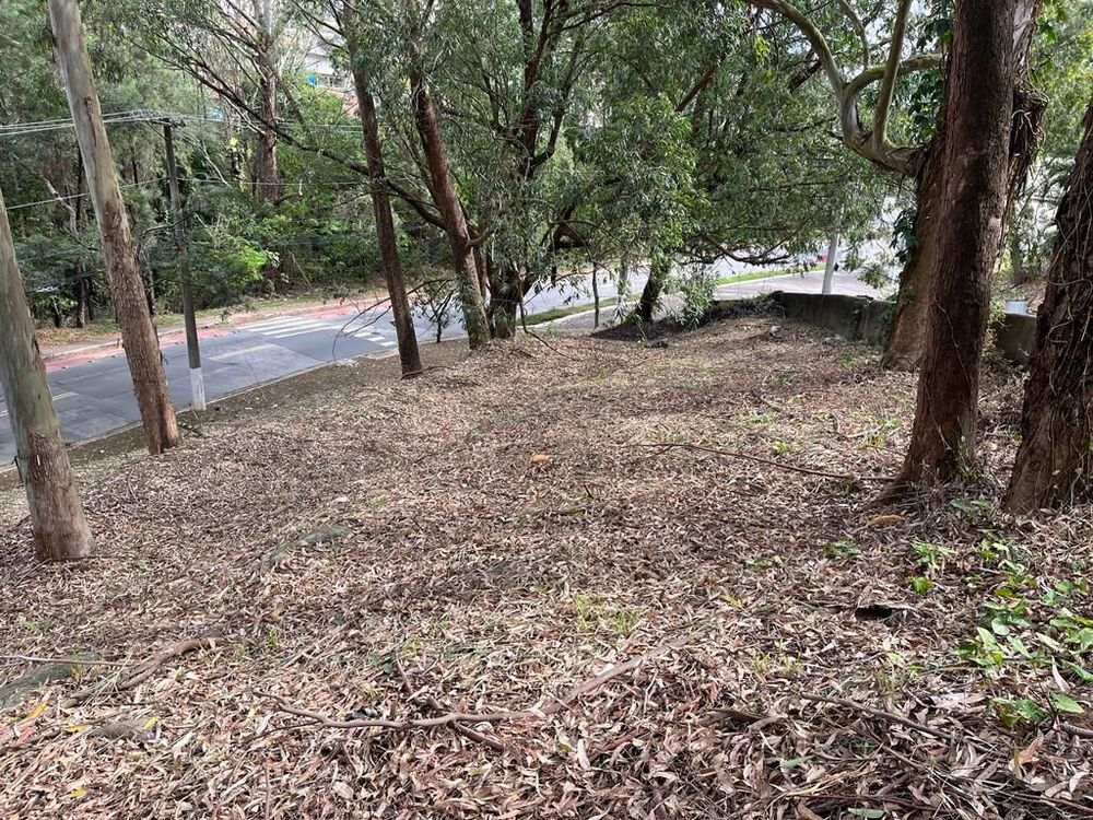 Terreno, 800 m² - Foto 1