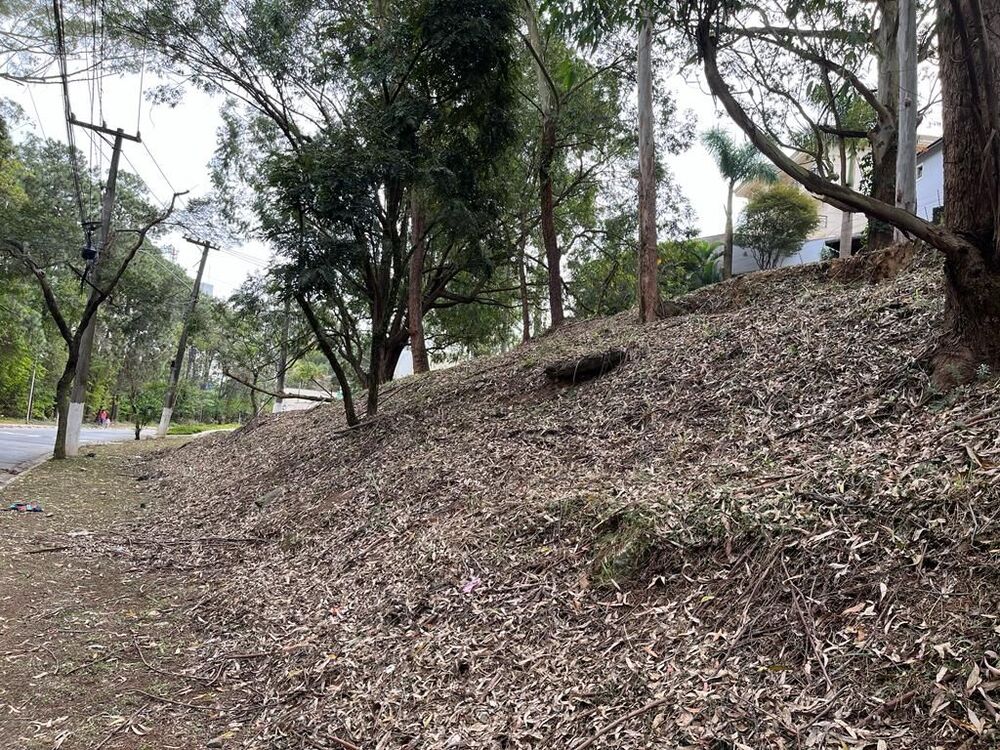 Terreno, 800 m² - Foto 5