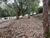 Terreno, 800 m² - Foto 3