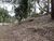 Terreno, 800 m² - Foto 5