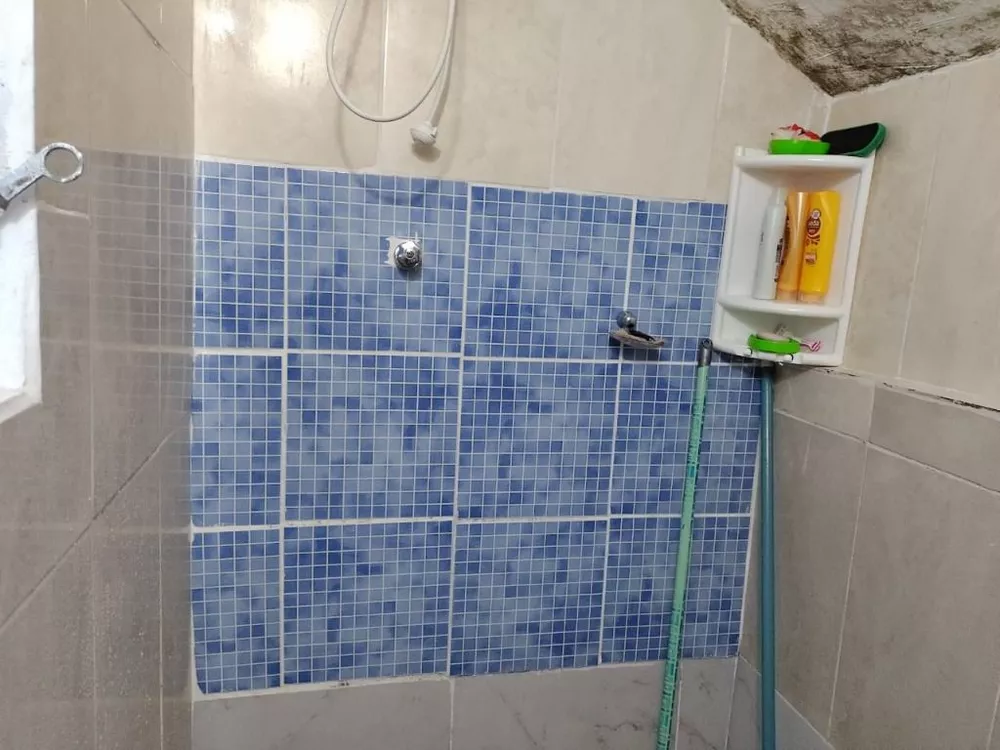 Casa, 6 quartos, 250 m² - Foto 3