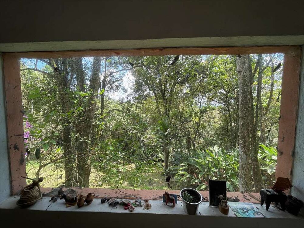 Chácara, 4 quartos, 2 hectares - Foto 33
