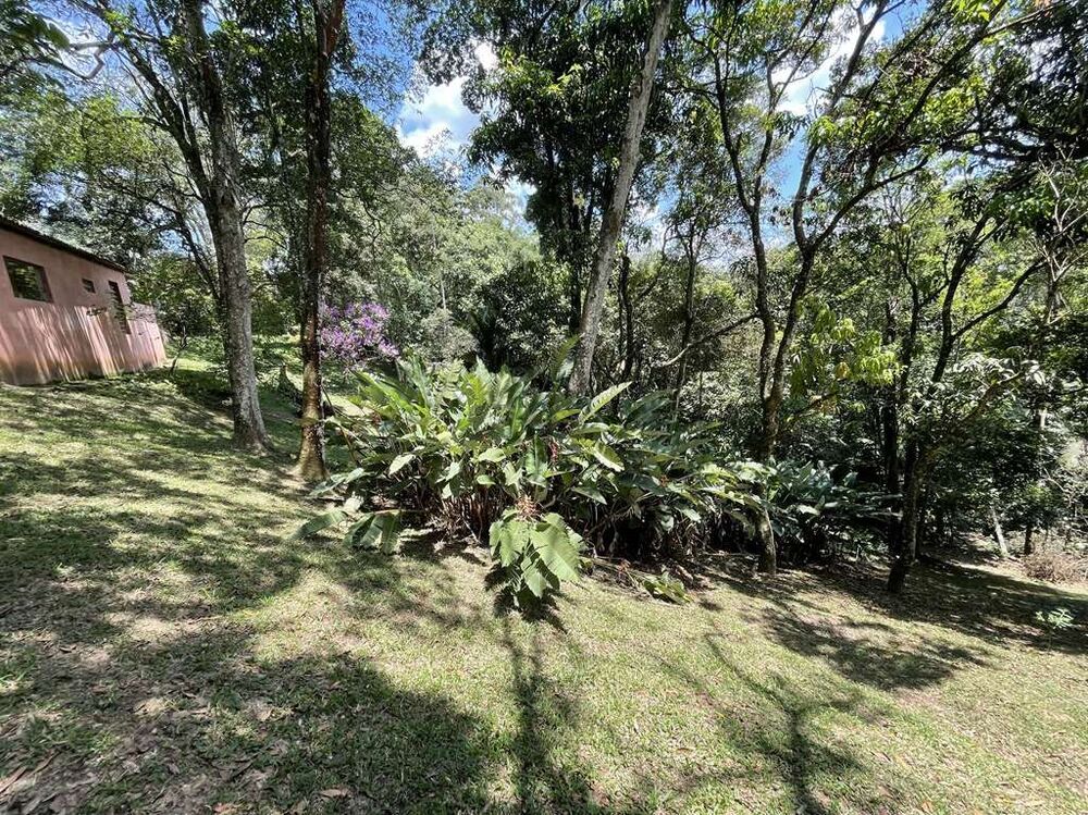Chácara, 4 quartos, 2 hectares - Foto 44