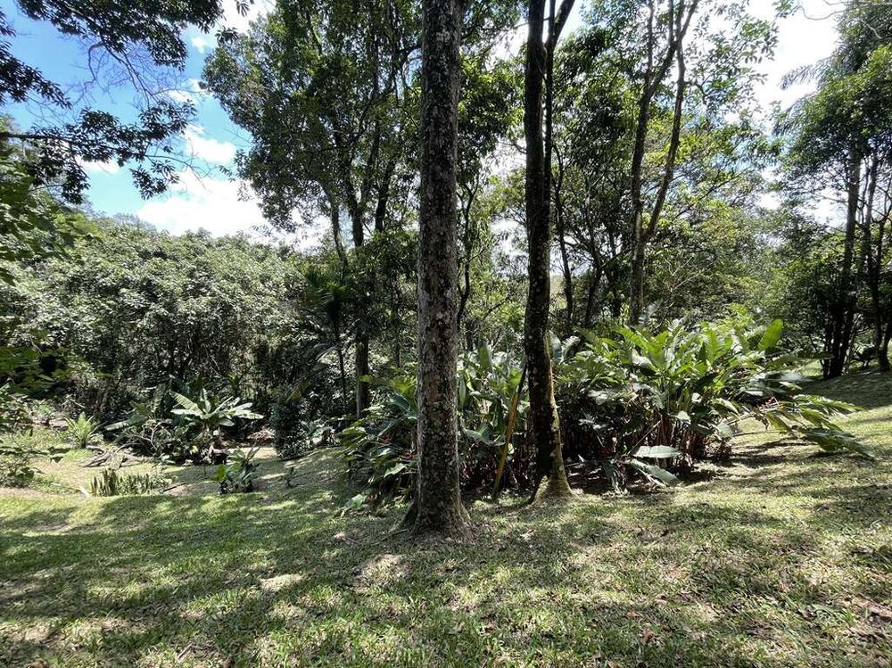 Chácara, 4 quartos, 2 hectares - Foto 40