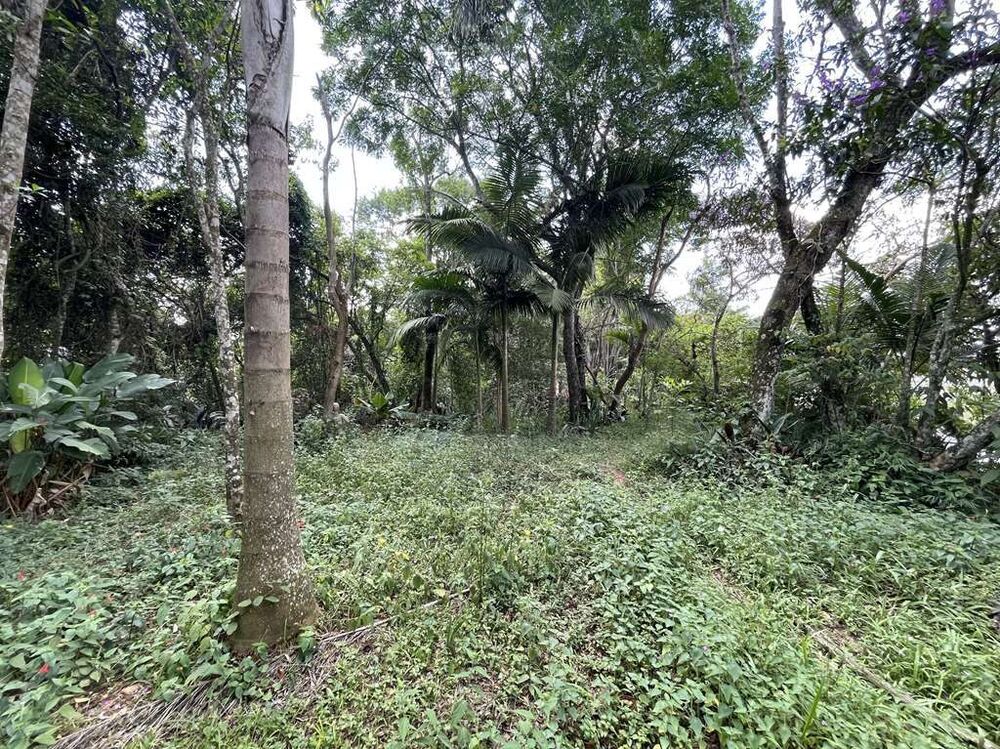 Chácara, 4 quartos, 2 hectares - Foto 48