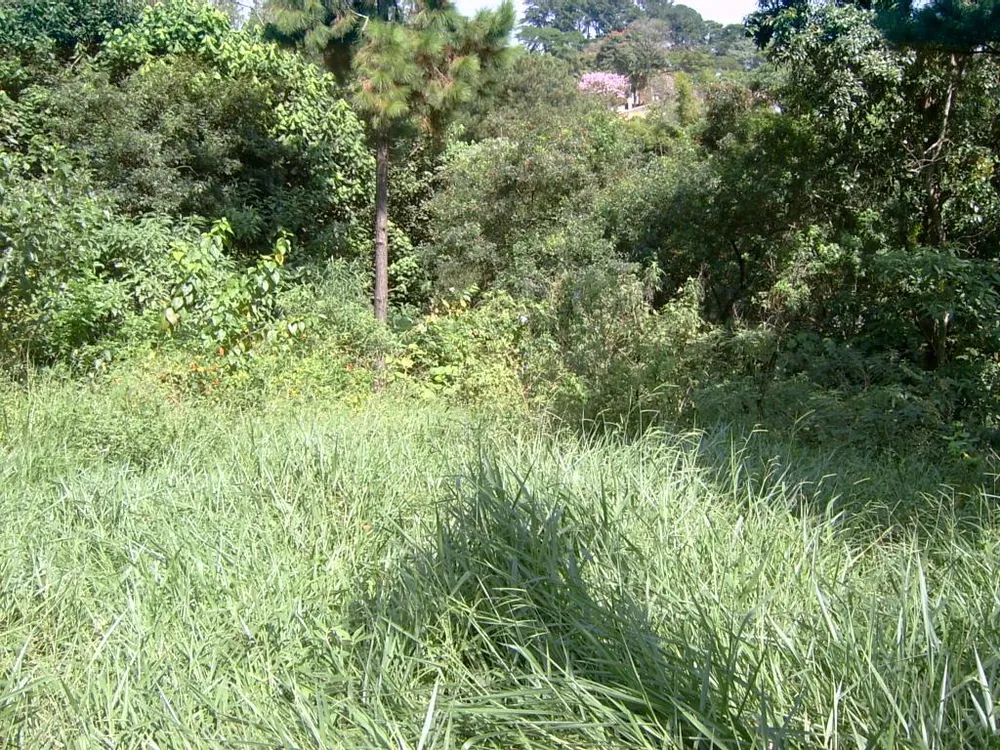 Terreno, 6462 m² - Foto 2