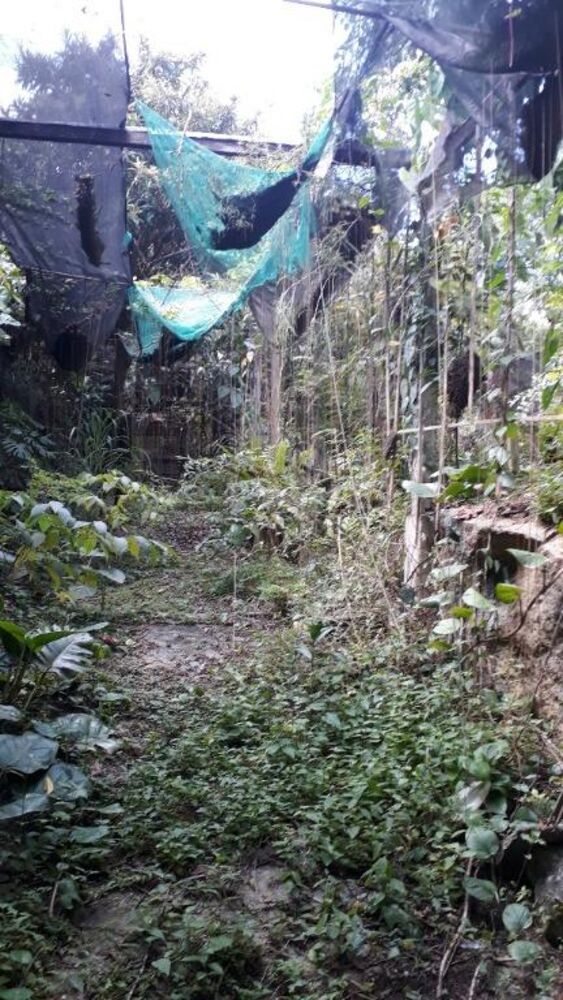 Terreno, 1485 m² - Foto 4