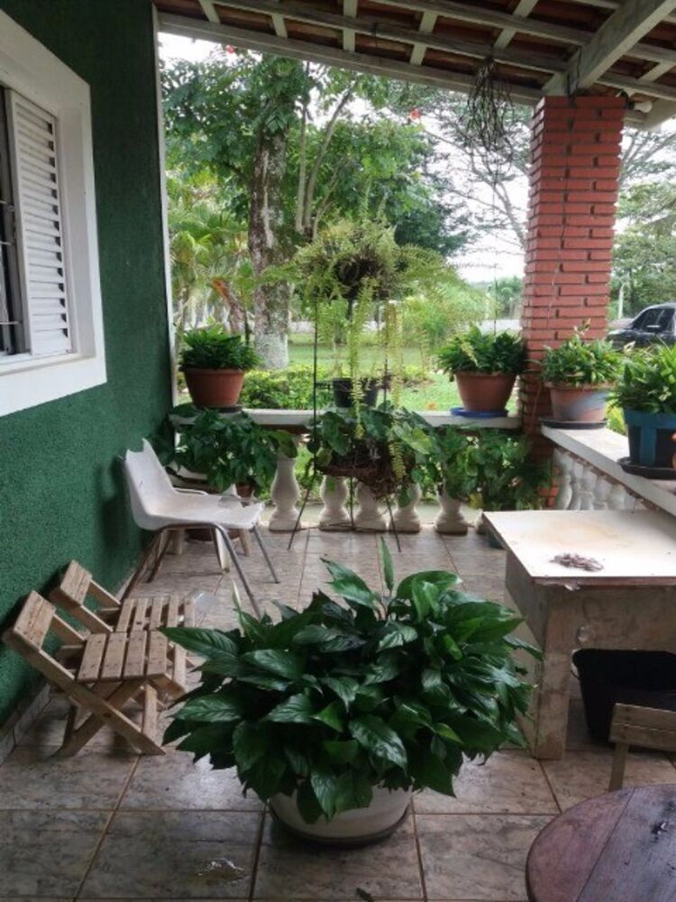 Sítio, 5000 m² - Foto 4