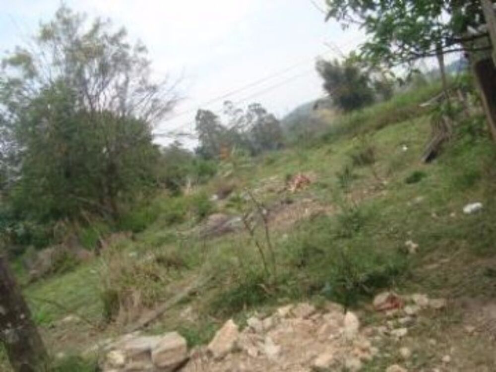 Terreno, 2 hectares - Foto 2