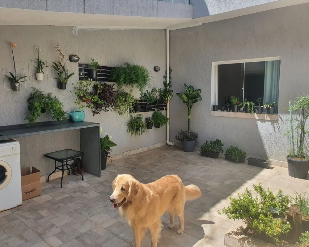 Casa, 3 quartos, 190 m² - Foto 11