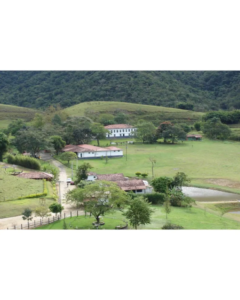 Fazenda, 12 hectares - Foto 6