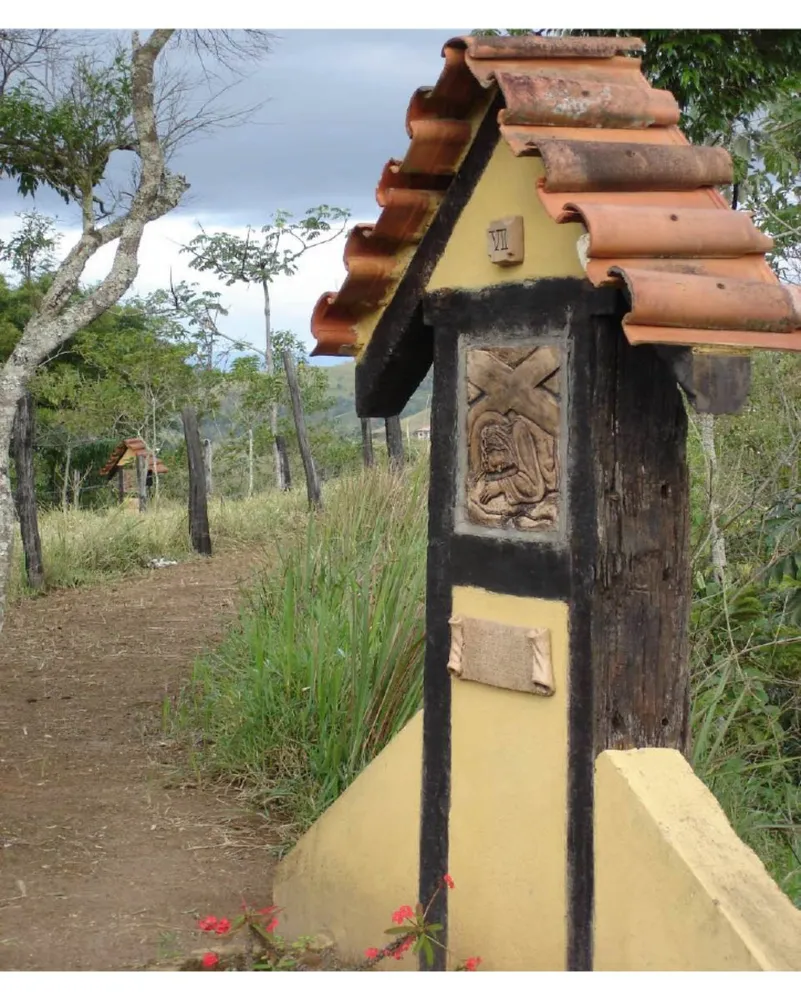 Fazenda, 12 hectares - Foto 8