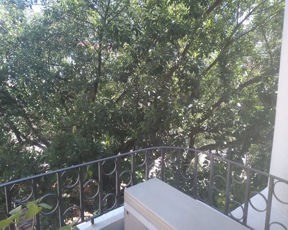 Apartamento, 2 quartos, 60 m² - Foto 7