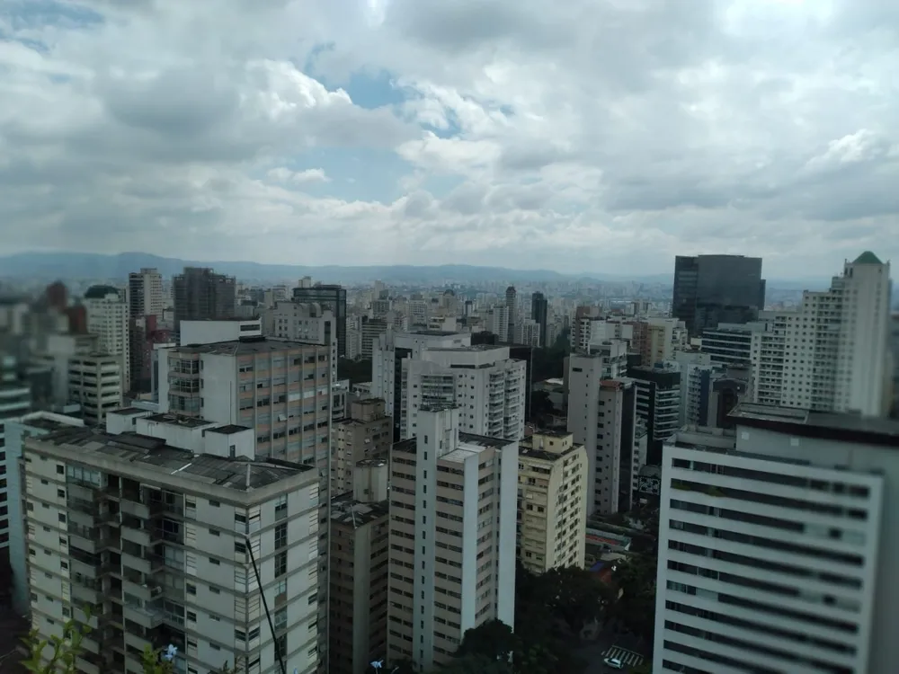 Cobertura, 3 quartos, 270 m² - Foto 5