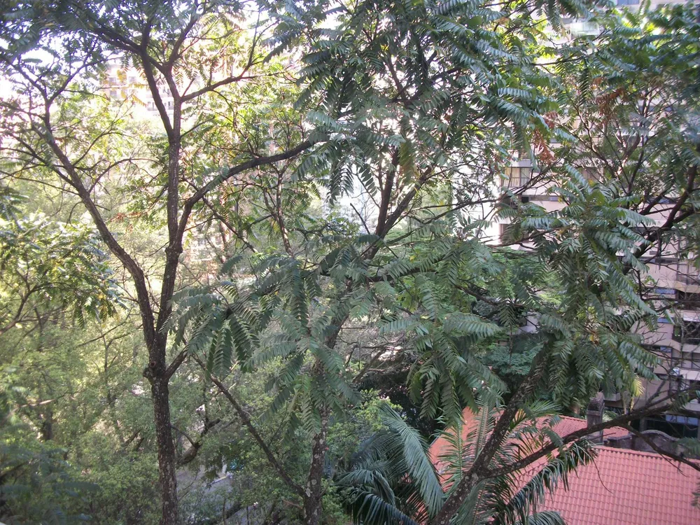 Apartamento, 2 quartos, 80 m² - Foto 11