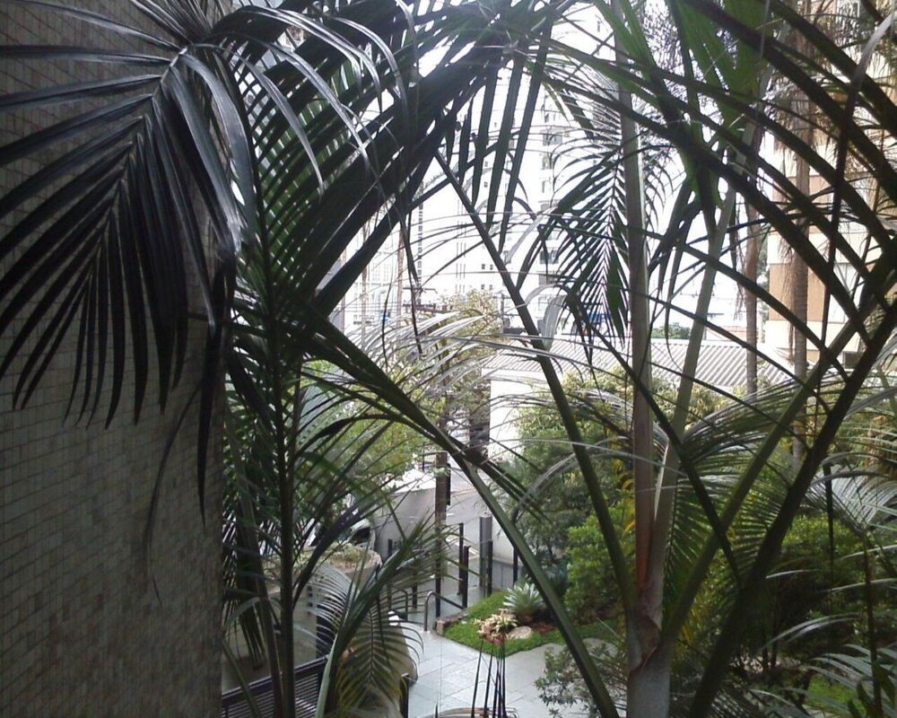 Apartamento, 1 quarto, 50 m² - Foto 1