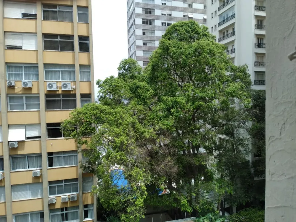 Apartamento, 2 quartos, 70 m² - Foto 2