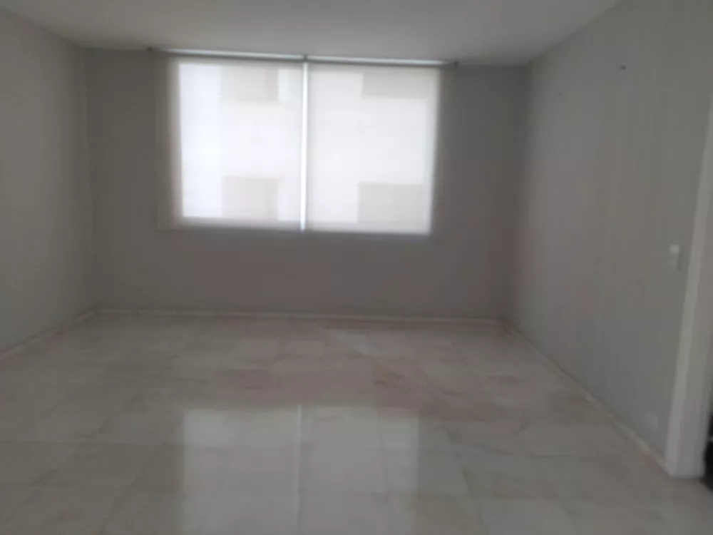 Apartamento, 3 quartos, 250 m² - Foto 7