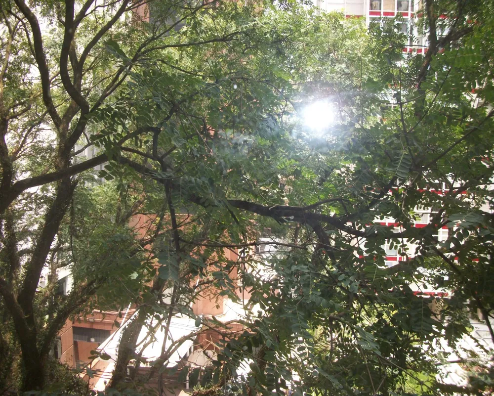 Apartamento, 2 quartos, 90 m² - Foto 10