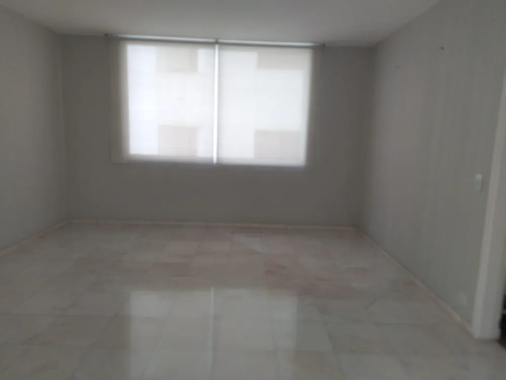 Apartamento, 3 quartos, 250 m² - Foto 7