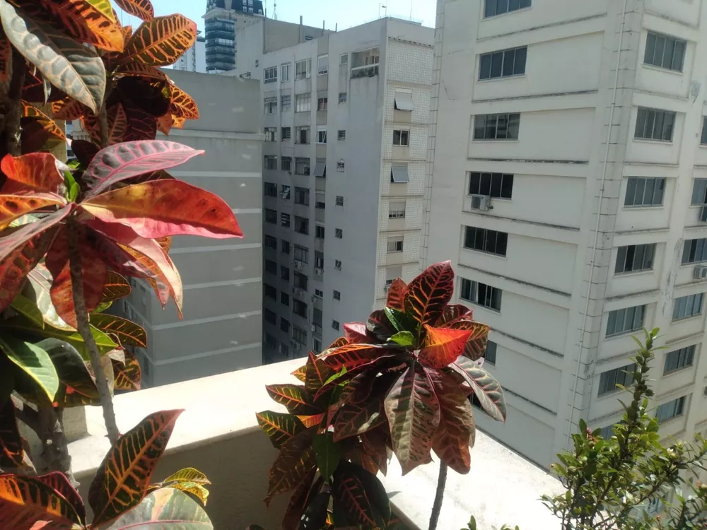 Apartamento para alugar com 3 quartos, 130m² - Foto 7