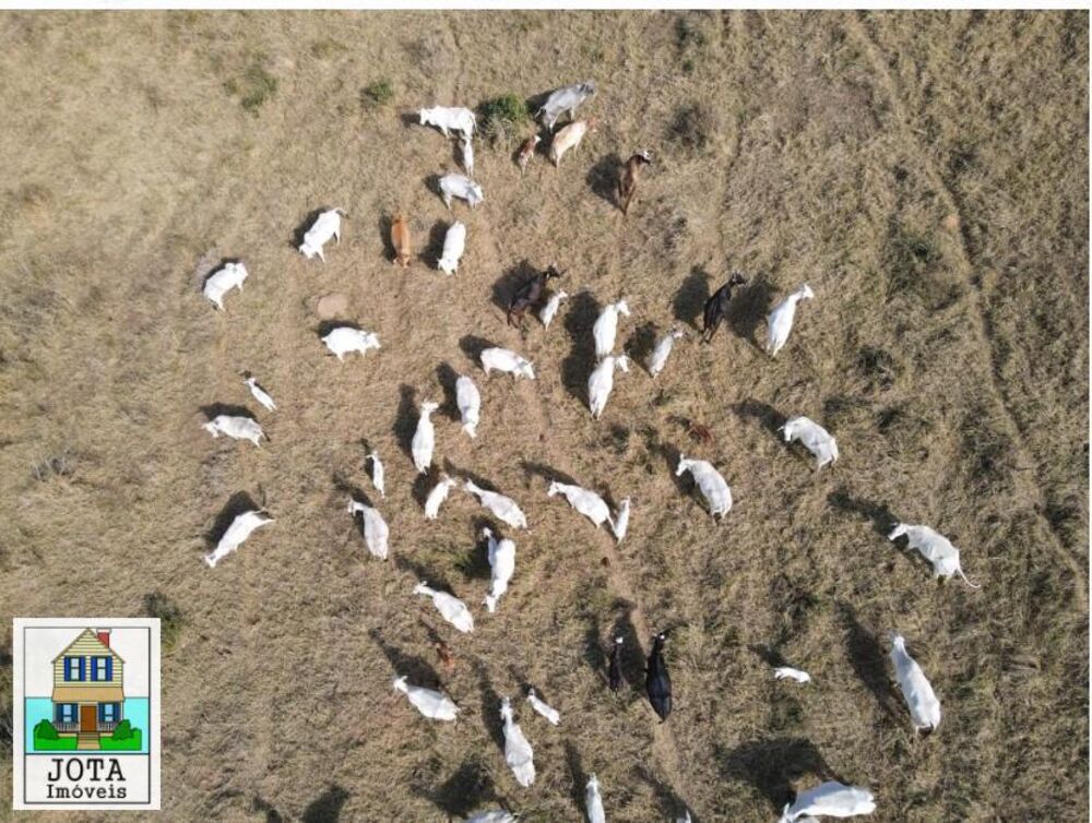 Fazenda, 272 m² - Foto 4