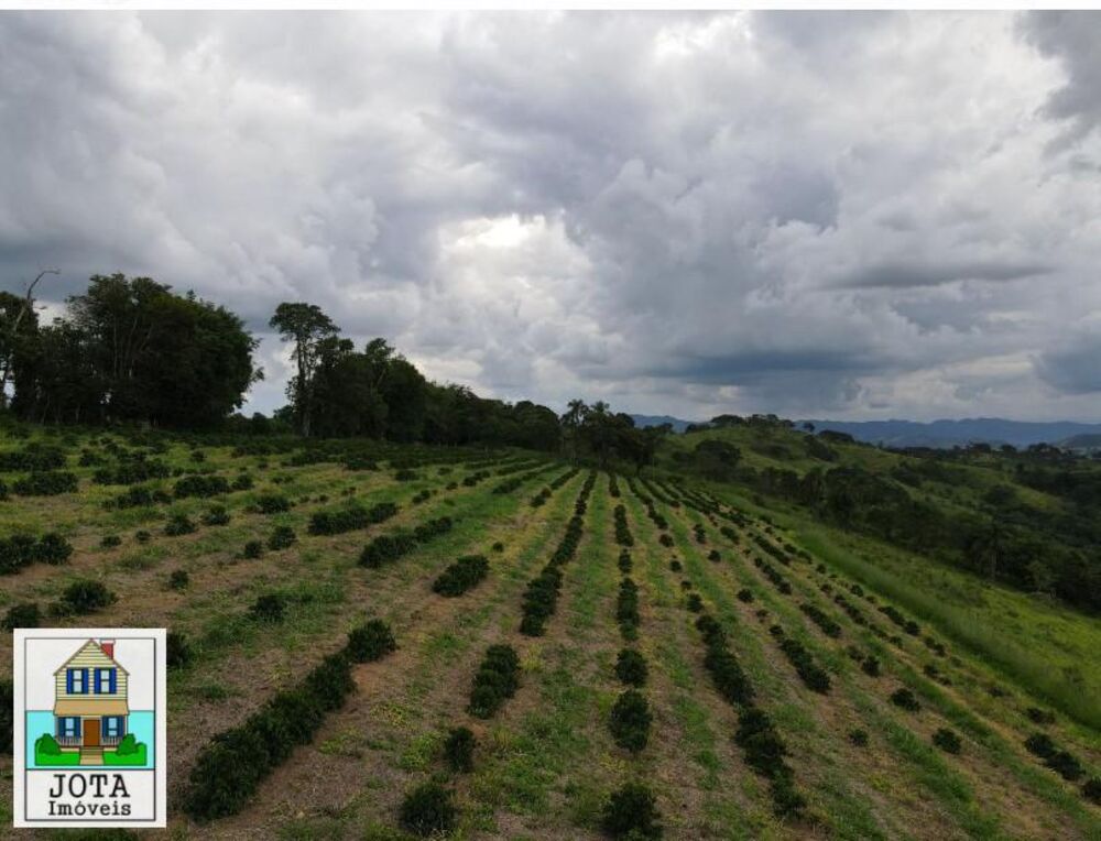 Fazenda à venda, 20m² - Foto 4